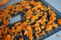 Pieces of carrots on the dehydrator trays.