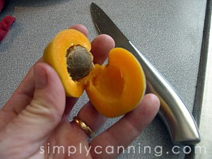 Slicing open an apricot to reveal the pit inside.