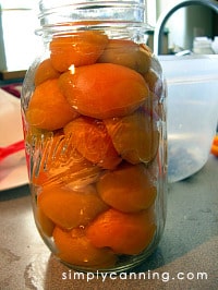 A quart canning jar packed with apricot halves.