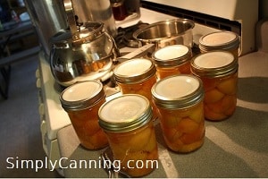 Jars packed with apricots with canning equipment on the stove behind them.