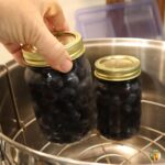 Placing 2 pint jars of blue berries in a water bath canner.