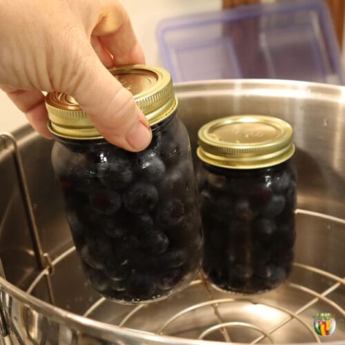 Placing 2 pint jars of blue berries in a water bath canner.