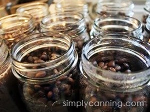 Jars filled to one inch headspace with black beans.