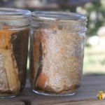 Jars filled with home canned fish.