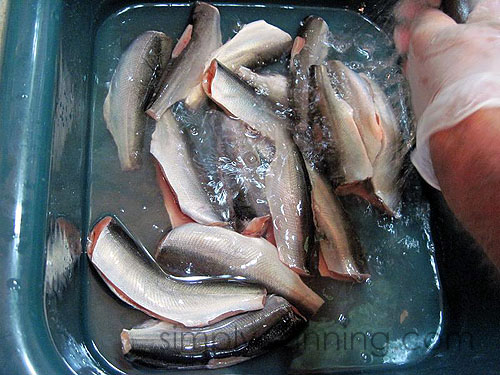 Rinsing gutted fish pieces in the sink.