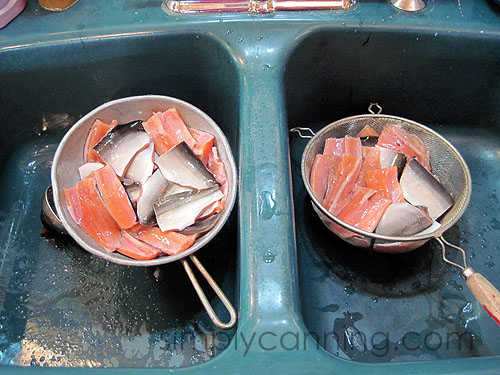 Strainers of pale pink fish pieces draining in the sink. 