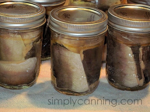 Small jars filled with canned fish.