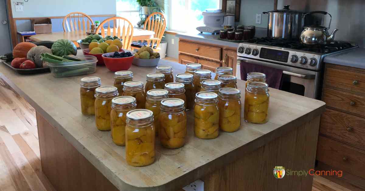 Jars of home canned food sitting on the countertop.