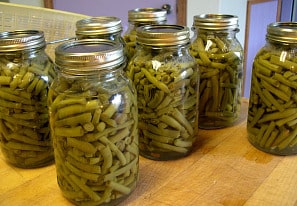 canning green beans jars
