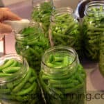 Jars of home canning green beans.