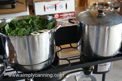 How To Blanch Food For Freezing And Dehydrating