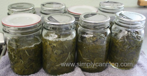 Canning jars filled with cooked greens.