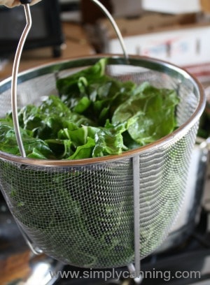Fresh greens in a blanching basket.