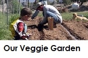 canning index starting a vegetable garden