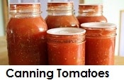 Close up of jars of home canned tomatoes, links to the index page of canning tomatoes. 