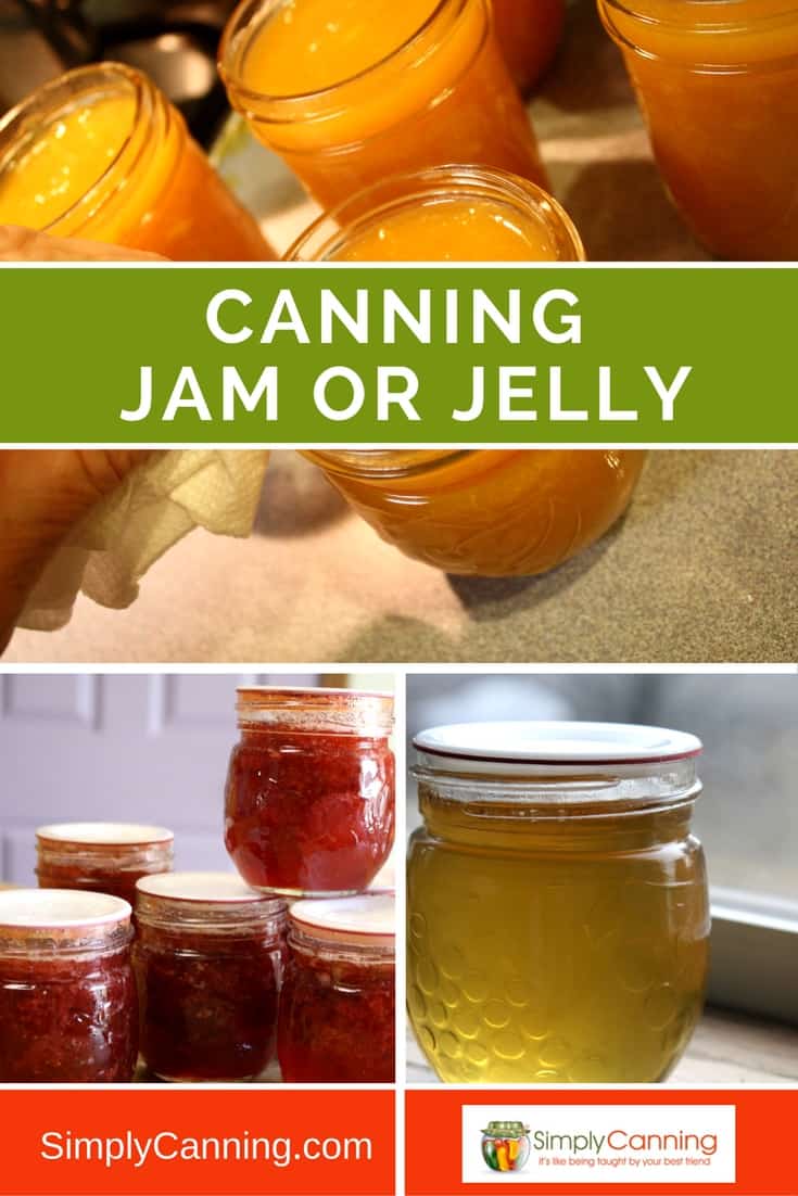 Jam or Jelly Canning is a great first step to canning. Recipes here!