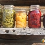 A variety of canning jars sitting in a row with the sun shining on them.