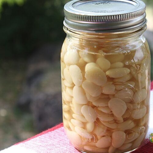 Pint jar of lima beans.