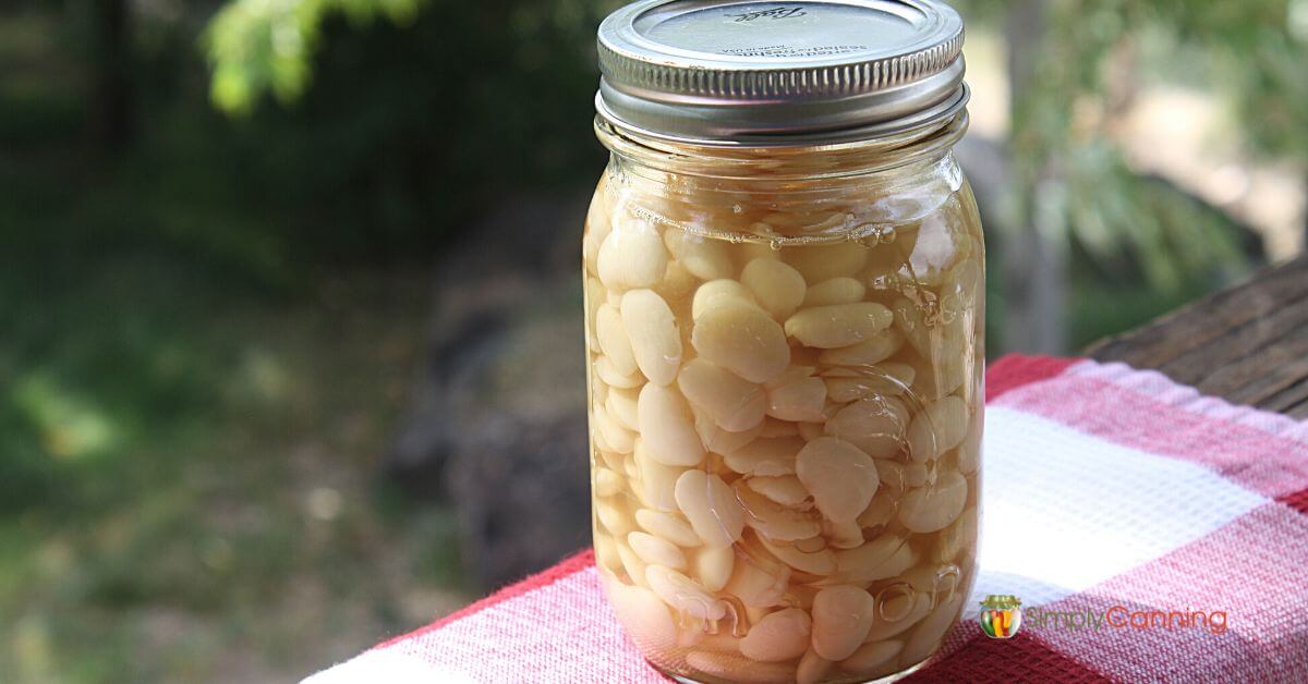 Pint jar of lima beans sitting on a railing with a pretty red checked napkin. 