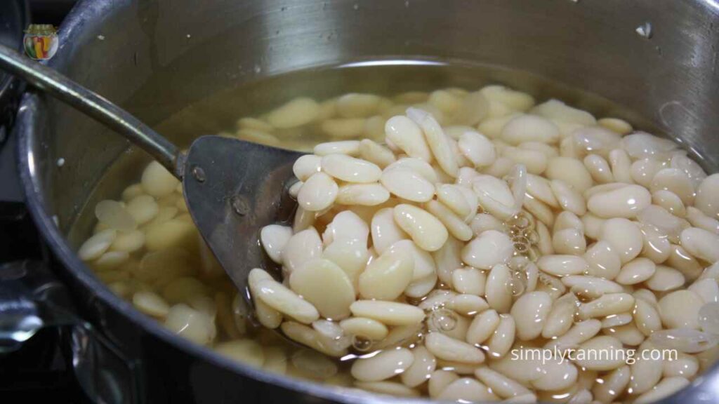 How To Can Lima Beans SimplyCanning