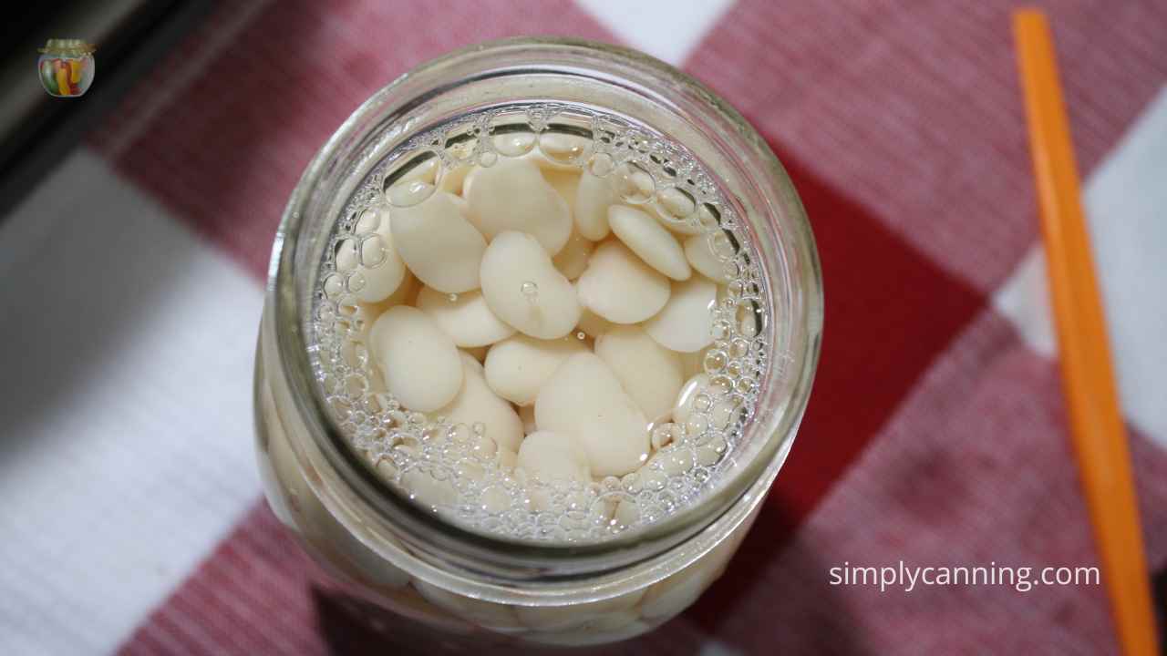Top down view of a narrow mouth canning jar filled with lima beans and water. 