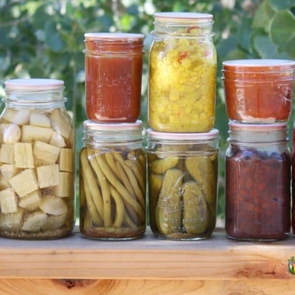Jars of various home canned fruits and veggies.