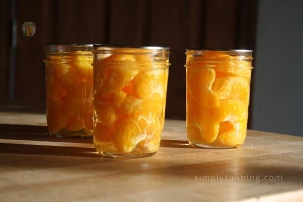 Three jars of orange segments sitting in the sunshine.