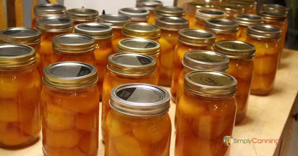 Counter full of home canned peaches.