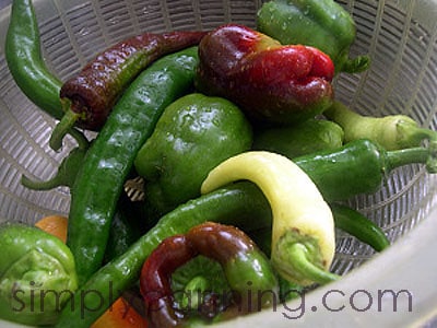 canning peppers