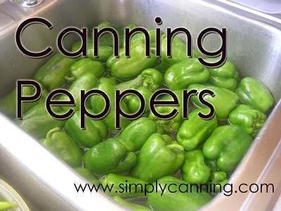 canning peppers