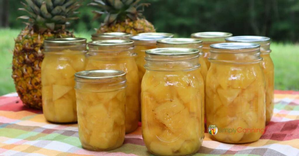 Pint jars of home canned pineapples with 2 fresh pineapples in the background.