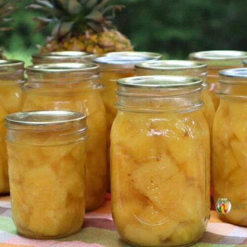 Pint jars of home canned pineapples with 2 fresh pineapples in the background.