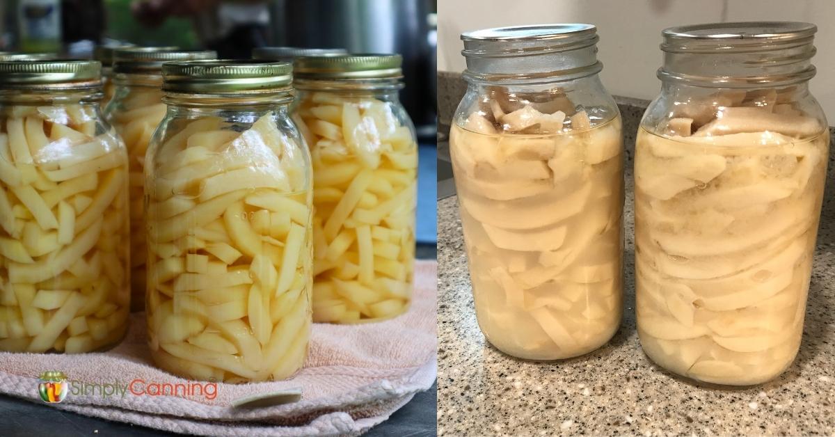 Side by side images showing freshly canned jars of potatoes and cloudy starchy potatoes after sitting on the shelf. 