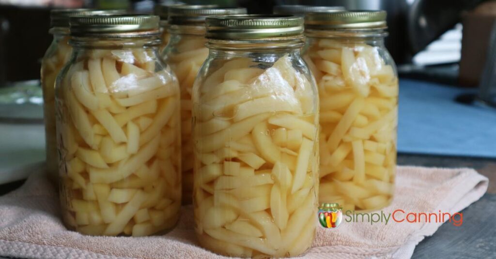 Close up of multiple quart jars of home canned french fry cut potatoes.