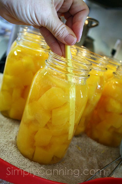Removing bubbles from jars packed with pumpkin cubes and liquid.
