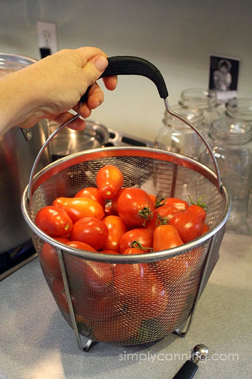 A blancher basket filled with fresh Roma type tomatoes.