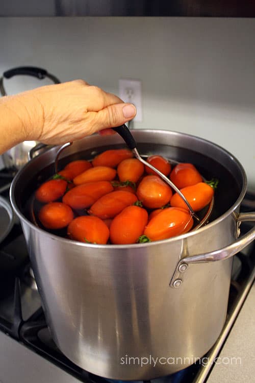 Plunging the basket of tomatoes into a pot of boiling water.