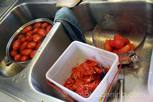 A bucket of discarded tomato peels and a bowl of peeled tomatoes with more tomatoes in the background.