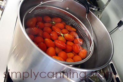 A blancher basket of tomatoes sitting a pot of boiling water.