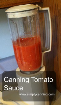 Blending tomatoes in a blender for canning tomato sauce.