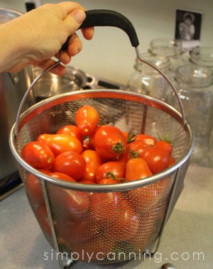 Holding a blancher basket filled with fresh Roma tomatoes.