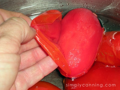 Peeling thin skins off of the tomatoes.
