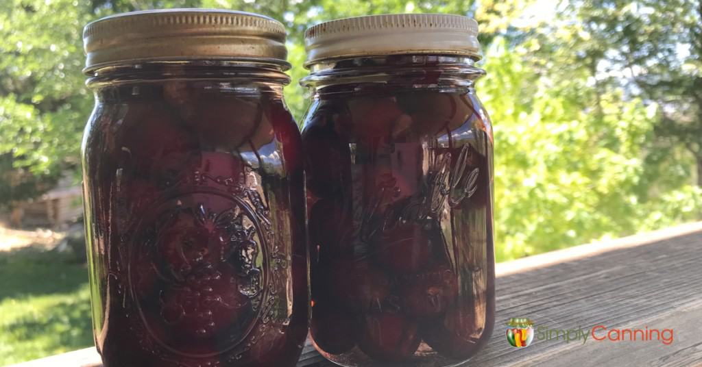 Two pint jars filled with large dark colored cherries.