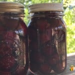 Two pint jars filled with large dark colored cherries.