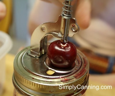 Fresh cherry sitting on the top of the jar cherry pitter.