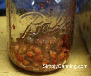 A Ball canning jar filling up with cherry pits.