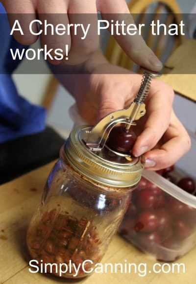 cherry pitter review