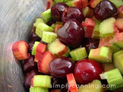 Mixture of pitted cherries and sliced red and green rhubarb.