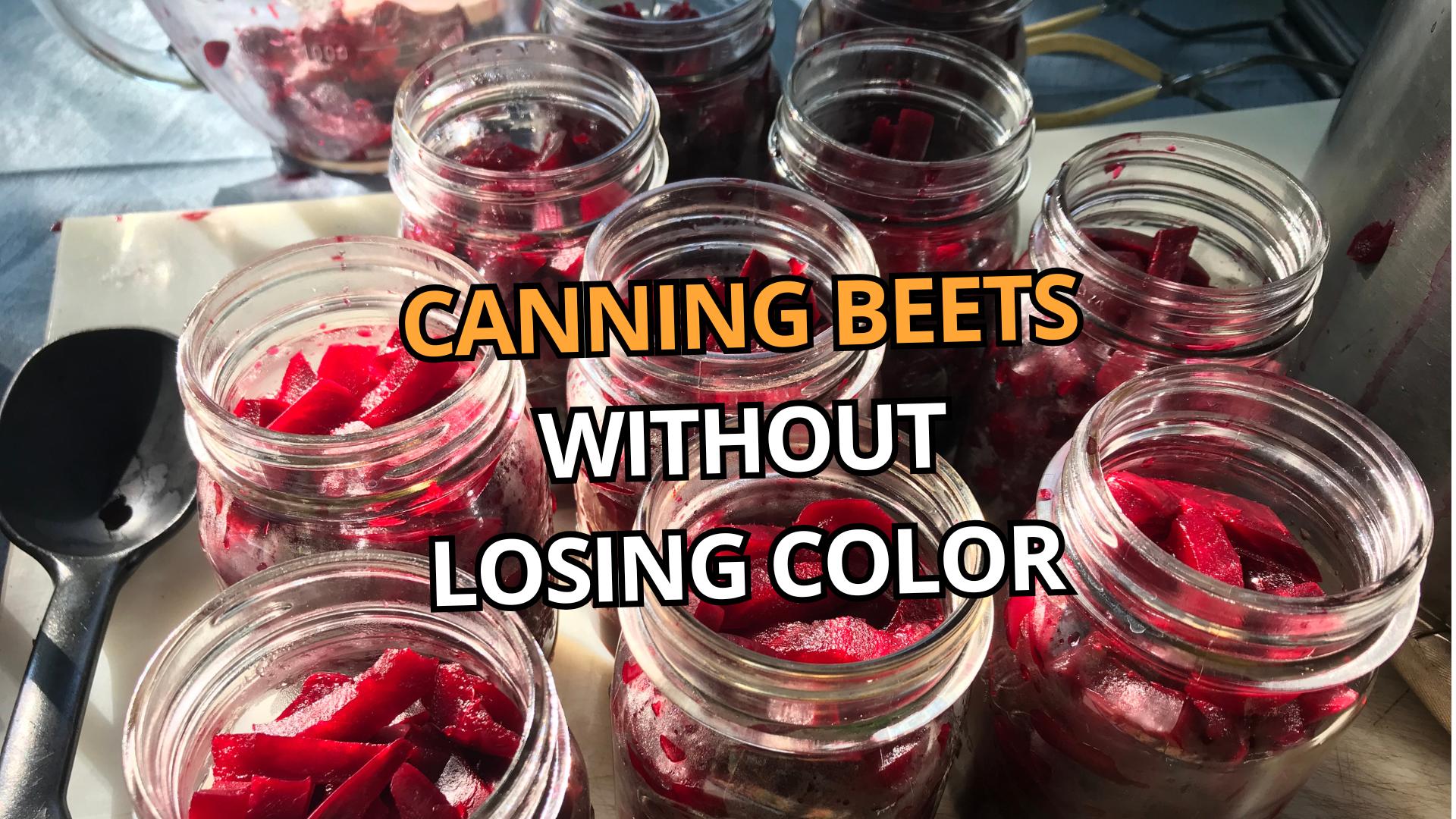 Open jars of home canned beets with the title Canning Beets Without Losing Color.