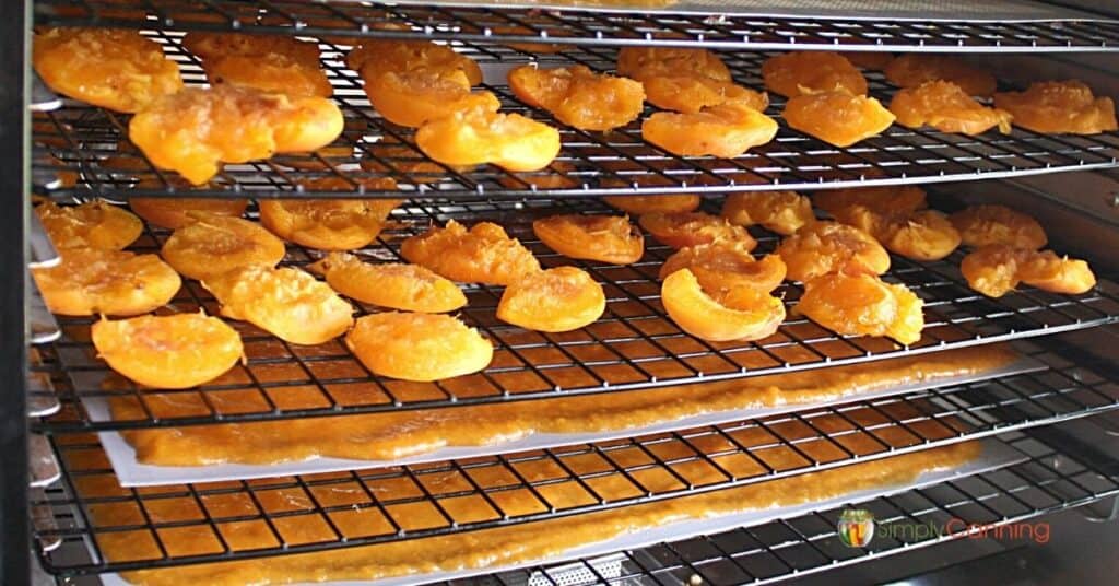 Bright orange food laid in the trays of a large commercial dehydrator.